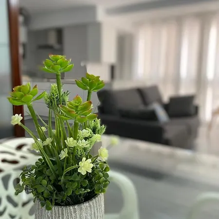 Molineros Victoria 公寓