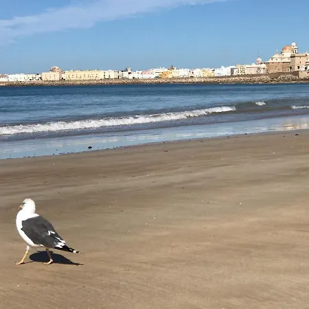 Apartamento Molineros Victoria *