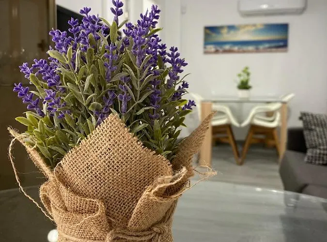 Molineros Victoria Apartment *