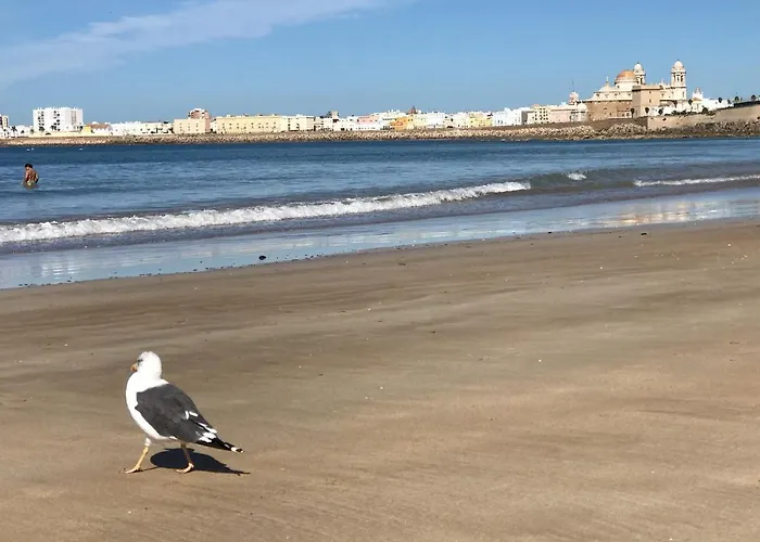 Apartment Molineros Victoria *