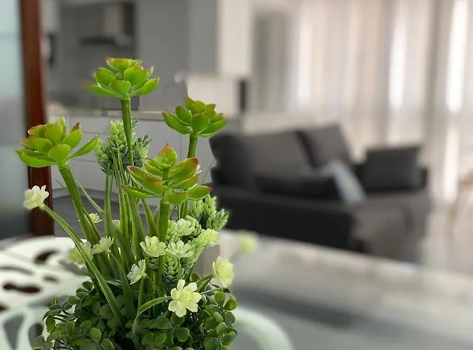 Molineros Victoria Apartament